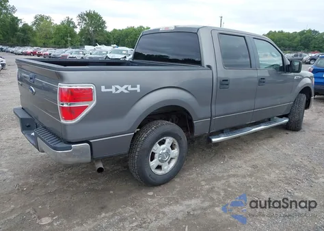 2010 Ford F-150 Xl/Xlt z USA, uszkodzony, nr VIN 1FTEW1E89AFA29293